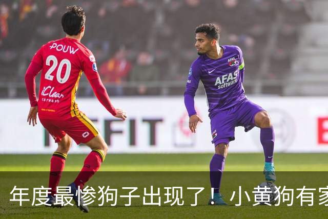 年度最惨狗子出现了！小黄狗有家不能回，回了还得给两位冤种让位置打架……狗子：我太难了！